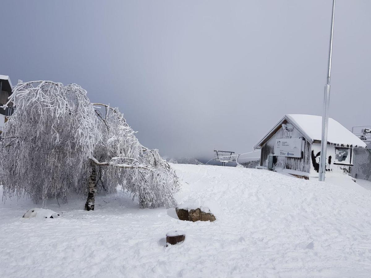 Peak 105 Leilighet Mount Buller Eksteriør bilde